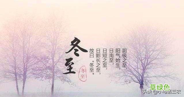 俗语“数九逢壬才数九”是何意？春节时会冷吗？专家：冷暖已定 壬日是什么日