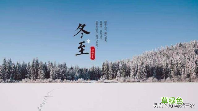 俗语“数九逢壬才数九”是何意？春节时会冷吗？专家：冷暖已定 壬日是什么日