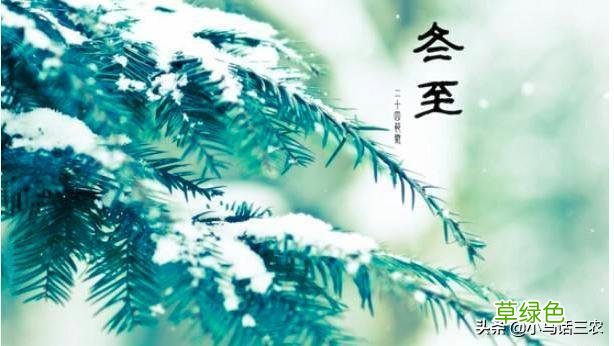 俗语“数九逢壬才数九”是何意？春节时会冷吗？专家：冷暖已定 壬日是什么日