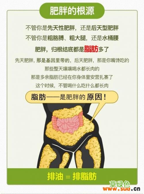 赛乐赛减肥靠谱吗评论 赛乐赛减肥靠谱吗