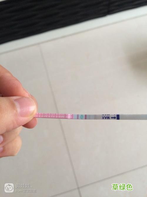 排卵的时候有什么感觉 排卵期有什么感觉