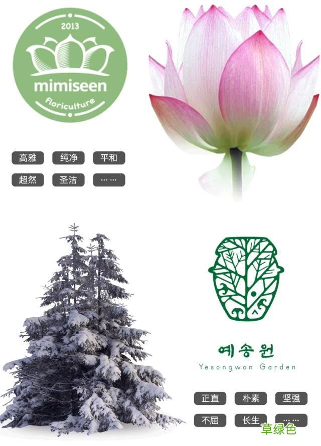 如何设计出有创意的LOGO 店名怎么设计