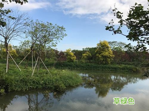 南沙湿地公园和水鸟世界哪个好玩 南沙湿地公园