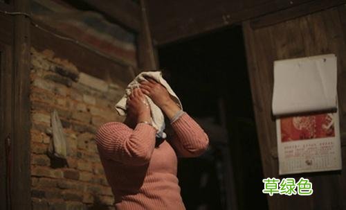 女生殖器官实图