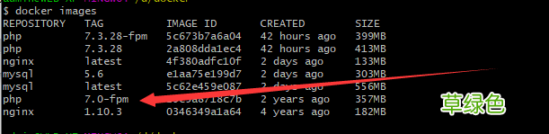 最新 Docker如何快速搭建LNMP环境