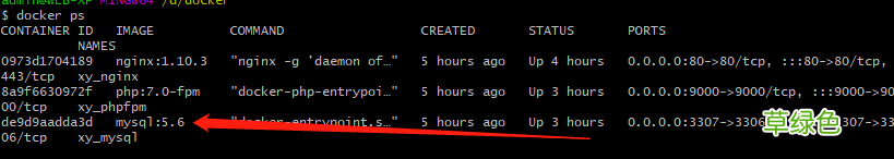 最新 Docker如何快速搭建LNMP环境
