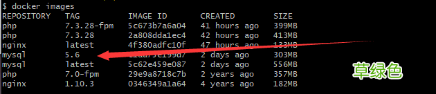 最新 Docker如何快速搭建LNMP环境