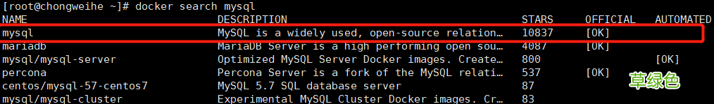 Docker部署mysql一主一从的操作方法