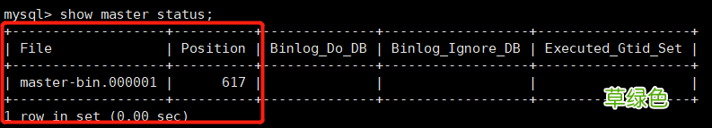 Docker部署mysql一主一从的操作方法