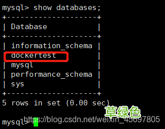 Docker部署mysql一主一从的操作方法