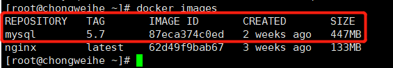 Docker部署mysql一主一从的操作方法