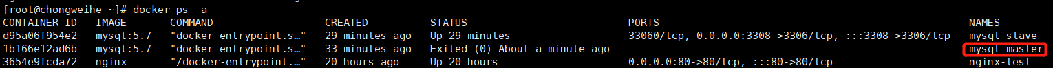 Docker部署mysql一主一从的操作方法