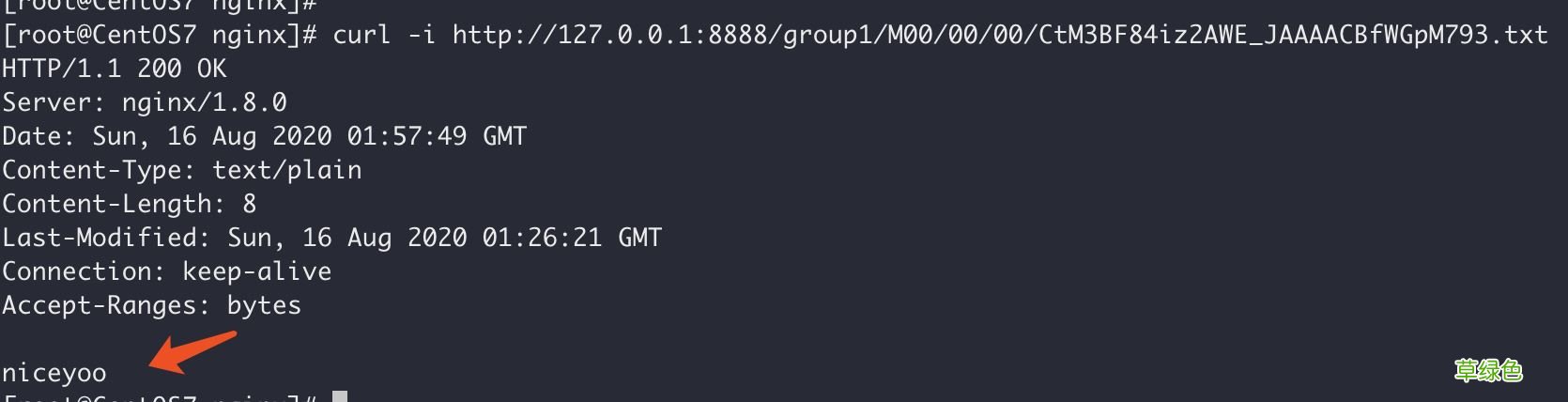 多图教程 Docker中搭建FastDFS文件系统