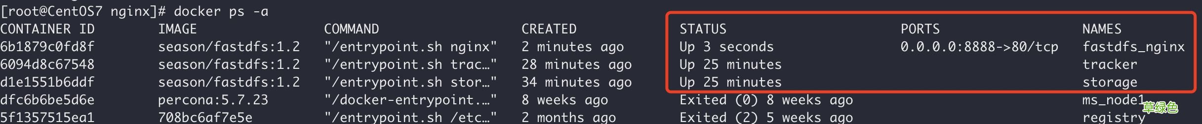多图教程 Docker中搭建FastDFS文件系统