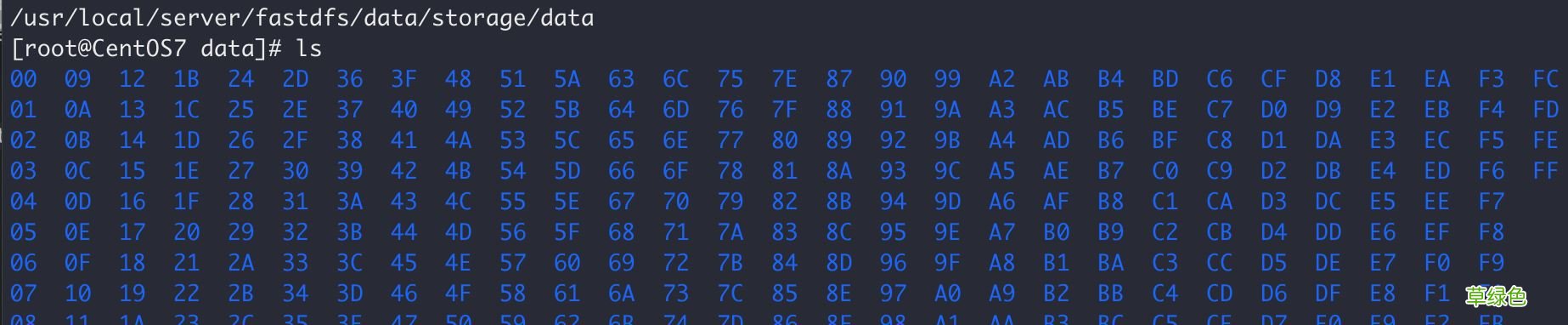 多图教程 Docker中搭建FastDFS文件系统