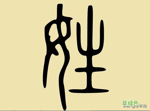 古老的姜、姬、嬴、姒等姓为何是女字旁？你的“姓”或为“氏”！ 女字旁念什么