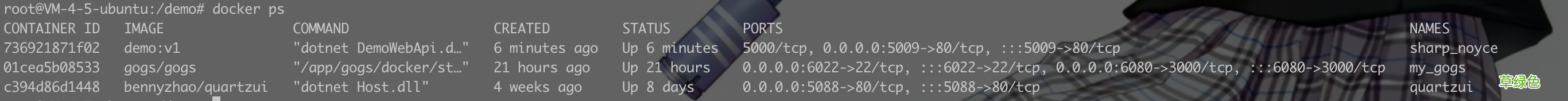 Gogs+Jenkins+Docker 自动化部署.NetCore的方法步骤