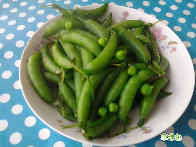 甜玉米青豆的做法大全 青豆的做法大全