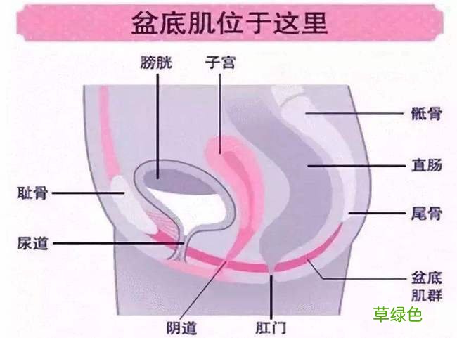 女性排尿困难尿不出来是怎么回事 女性排尿困难