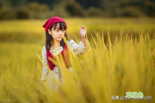 宝宝起名 纯洁无忧,温暖治愈的女孩名字大全 带解释 女宝宝名字大全