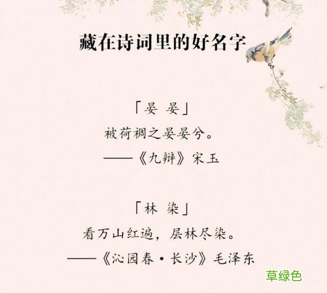 “女取诗经，男取楚辞”，藏在诗词里的好名字，留给孩子起名 好名字怎么取