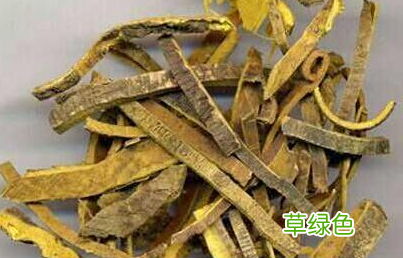 秦皮的功效与作用点副作用 秦皮的功效与作用