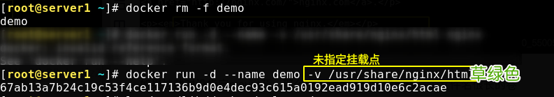 volume Docker中数据卷管理的两种方式