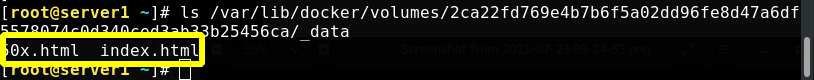 volume Docker中数据卷管理的两种方式