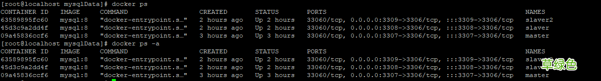 一主二从 Docker部署MySQL8集群的实现步骤