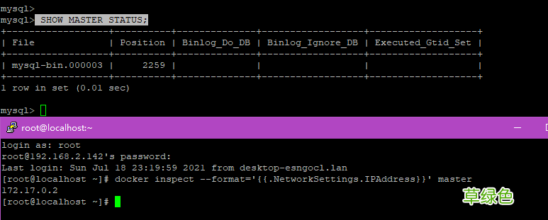 一主二从 Docker部署MySQL8集群的实现步骤
