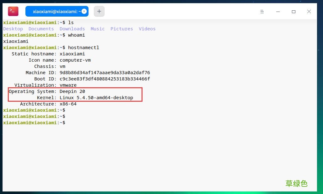 vmware虚拟机安装deepin20最全详细过程