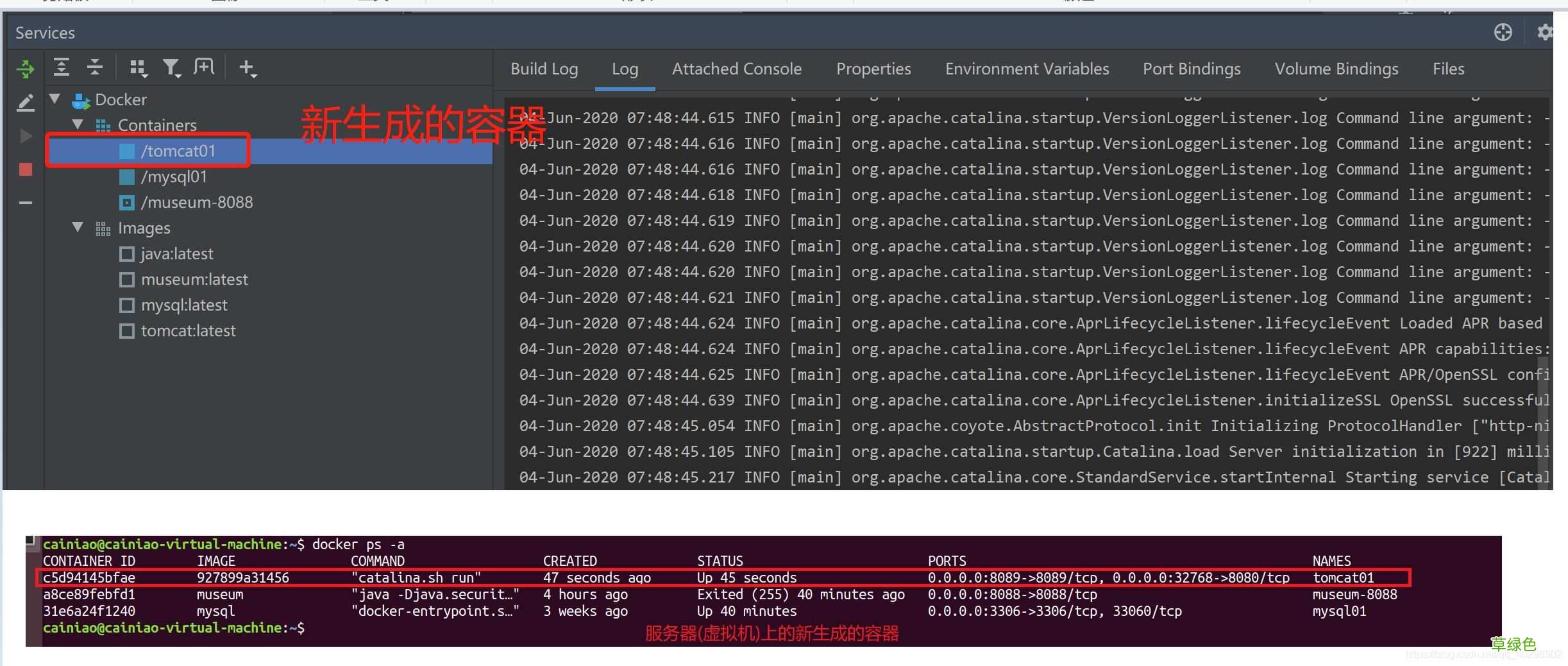 菜鸟教程 IDEA使用Docker插件