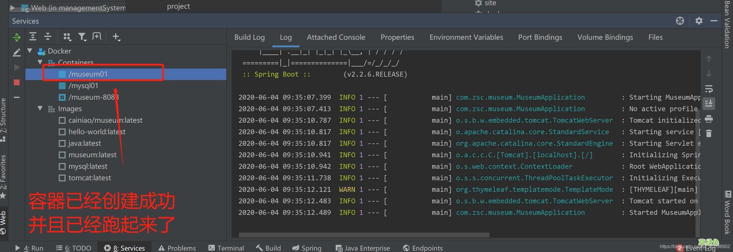 菜鸟教程 IDEA使用Docker插件