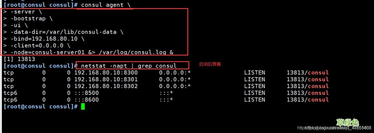 Docker consul的容器服务更新与发现的问题小结