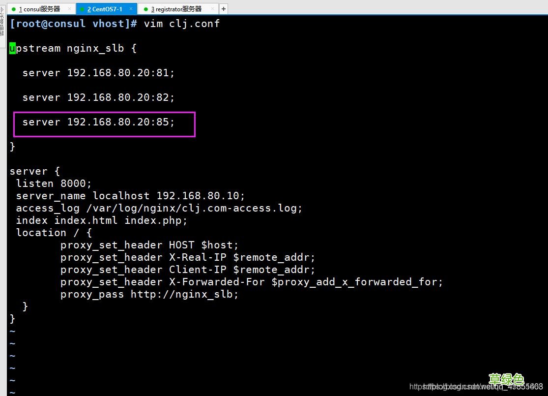 Docker consul的容器服务更新与发现的问题小结