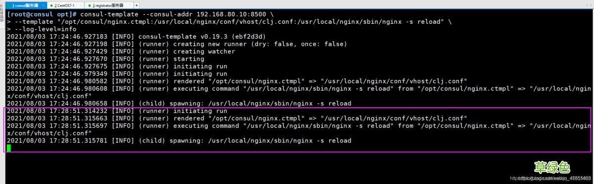 Docker consul的容器服务更新与发现的问题小结