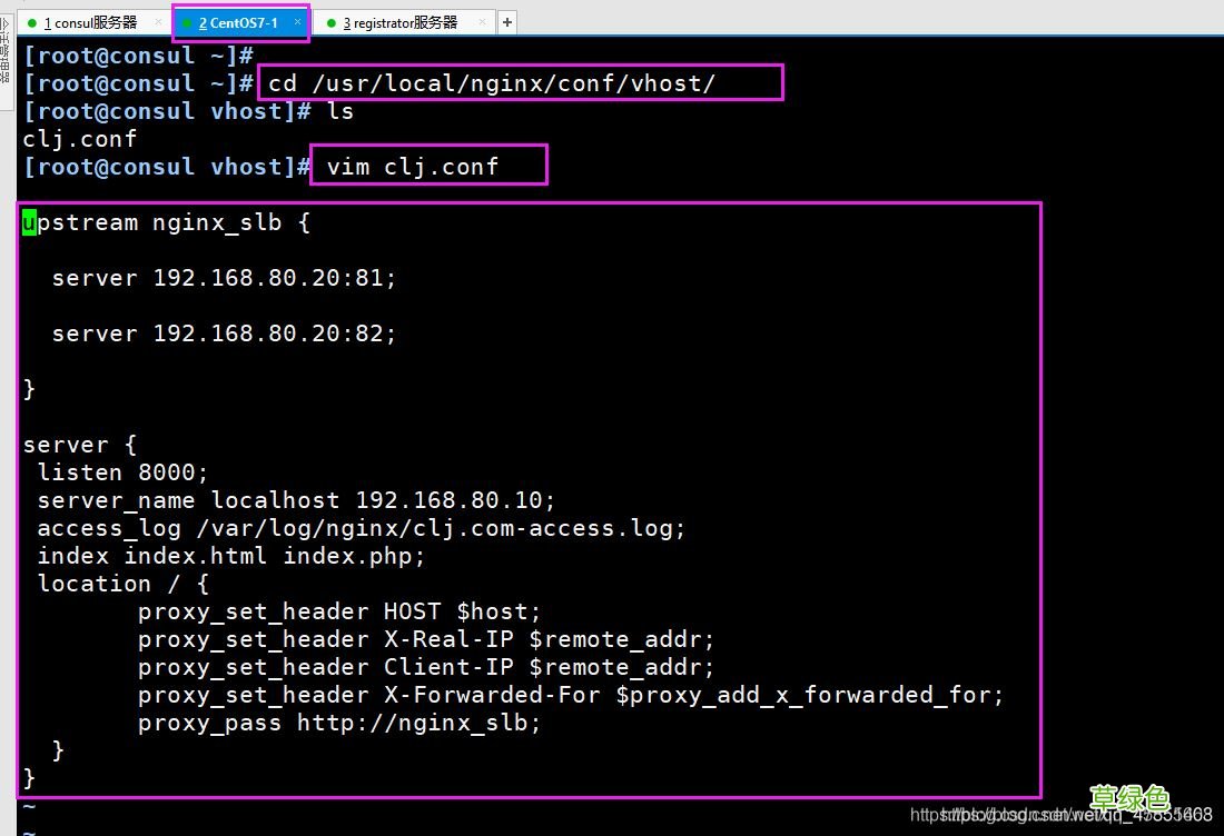 Docker consul的容器服务更新与发现的问题小结