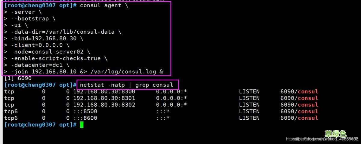 Docker consul的容器服务更新与发现的问题小结