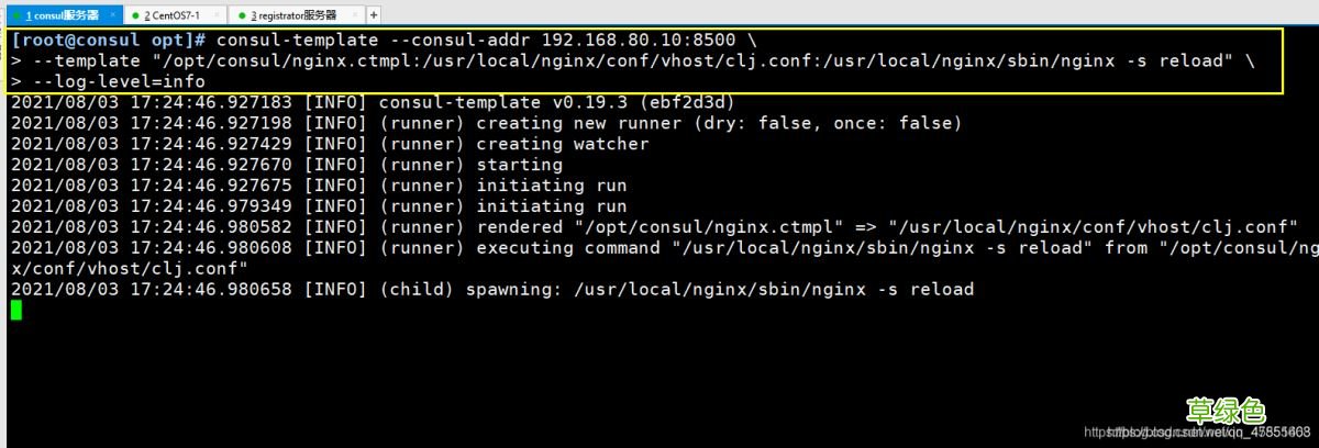 Docker consul的容器服务更新与发现的问题小结