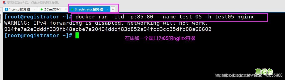 Docker consul的容器服务更新与发现的问题小结