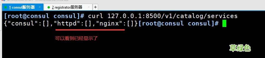 Docker consul的容器服务更新与发现的问题小结