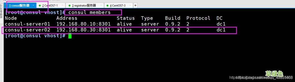 Docker consul的容器服务更新与发现的问题小结
