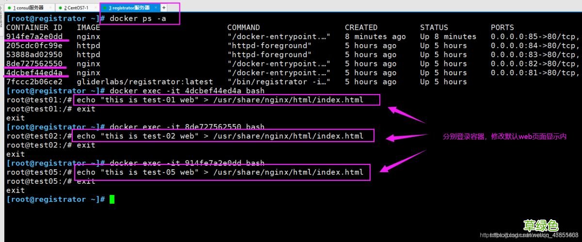 Docker consul的容器服务更新与发现的问题小结