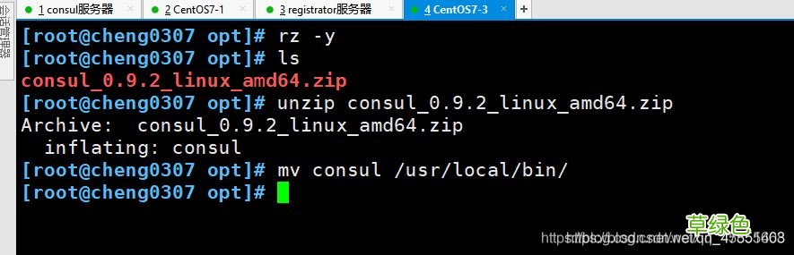 Docker consul的容器服务更新与发现的问题小结