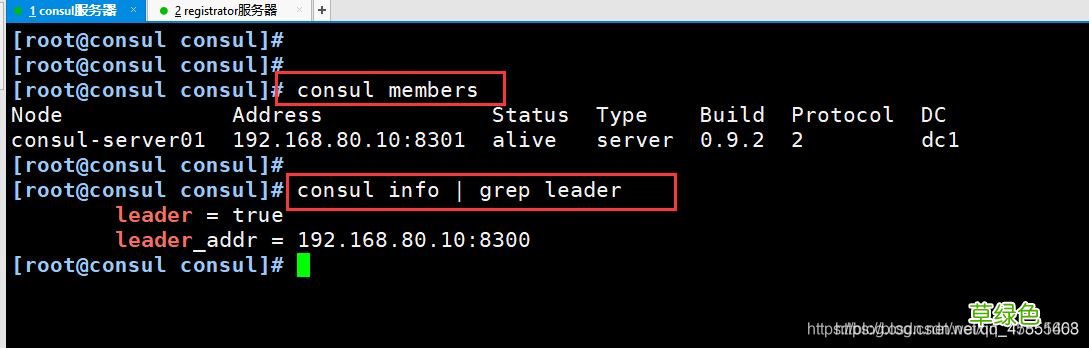 Docker consul的容器服务更新与发现的问题小结