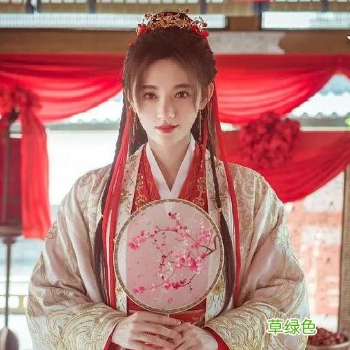 赵露思的新古装发型,也太2021了吧 怡前面加什么