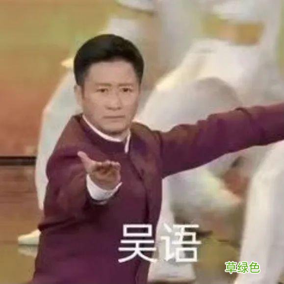 赵露思的新古装发型,也太2021了吧 怡前面加什么