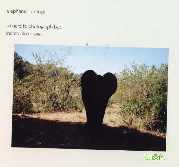 贝克汉姆大儿子“当厨师”被喷，顶配资源最成功的竟是秀恩爱？ 恩宁名字