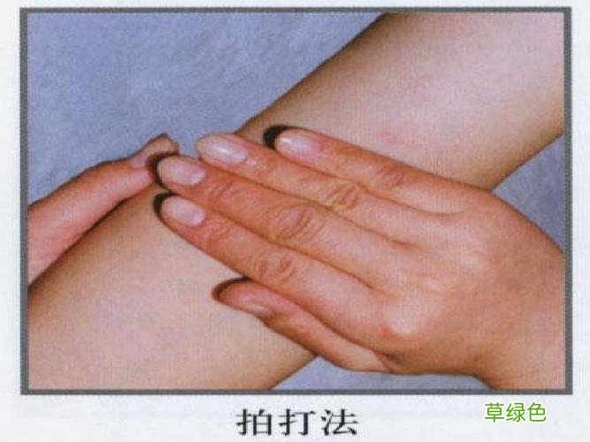 全息经络刮痧法电子书 全息经络刮痧法