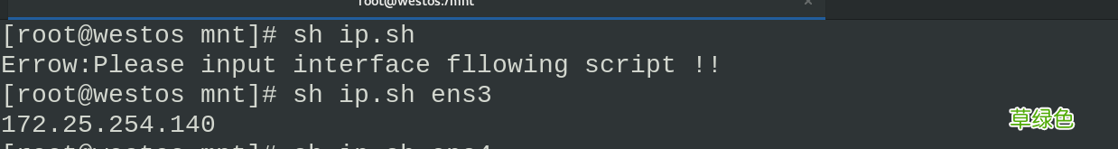 linux脚本基础详细介绍